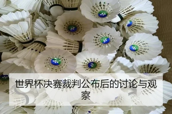 世界杯决赛裁判公布后的讨论与观察